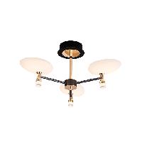 thumb_200_300_62f05d183a8f0